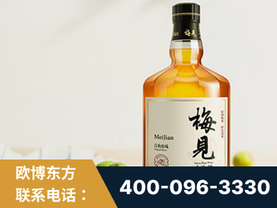 普宁-梅见青梅酒